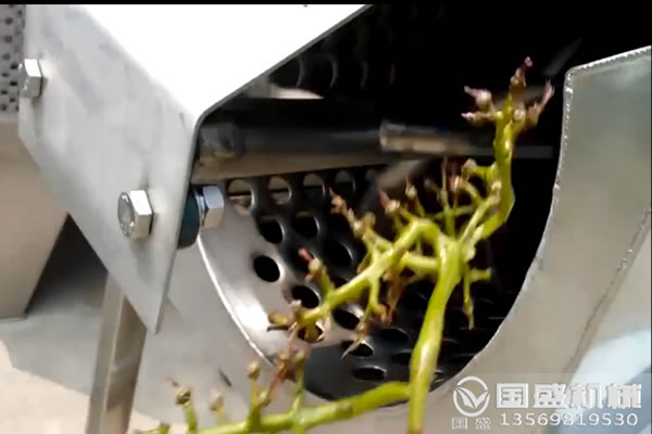 葡萄粉碎挤压脱水机