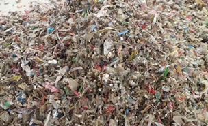 生活91视频专区免费看