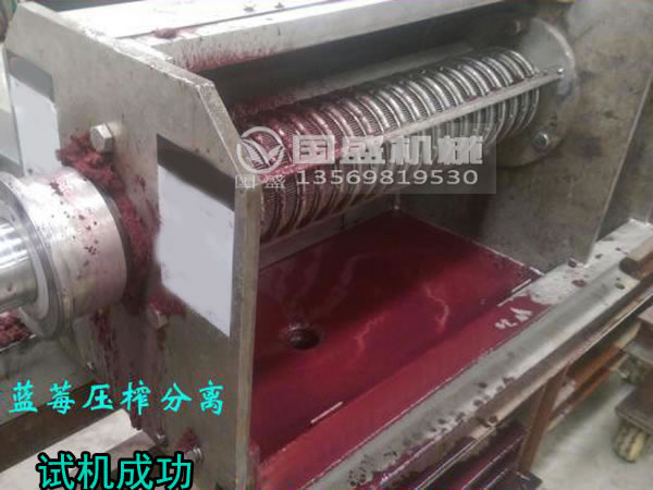 水果压榨机怎么用