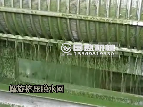 白菜脱水用91视频免费观看螺旋压榨机