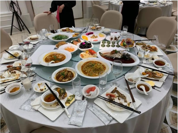 91视频专区免费看分类立法