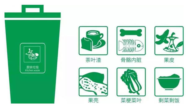 91视频专区免费看分类